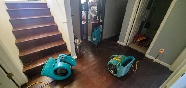 Best Flooded house restoration  in Wurtland, KY