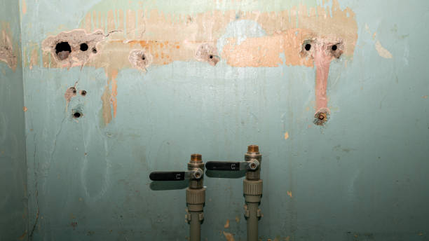 Best Basement water damage restoration  in Wurtland, KY