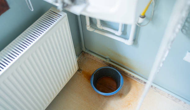 Best Water damage restoration near me  in Wurtland, KY