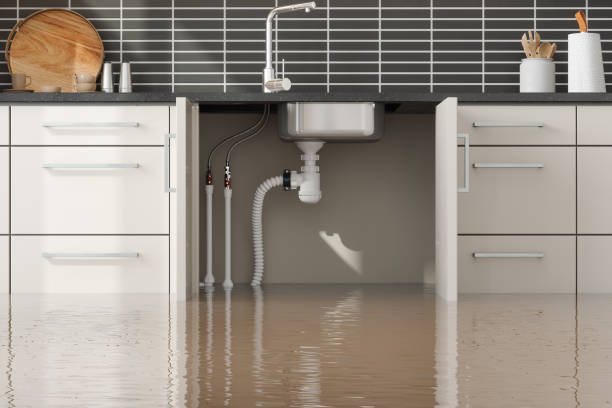 Best Residential water damage restoration  in Wurtland, KY